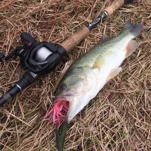 Meet your Posher, Evan